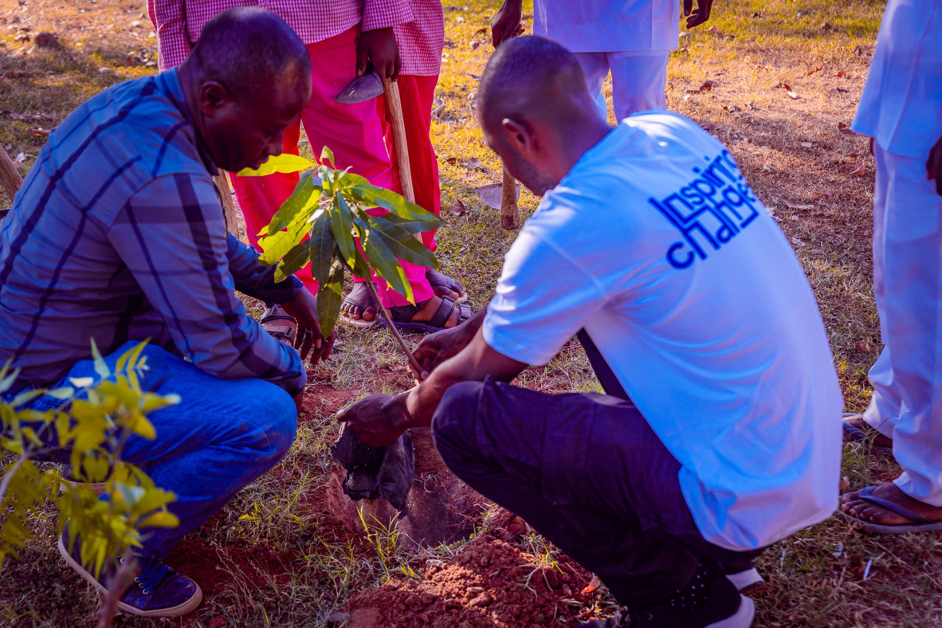 Facilitators and participants planting a tree